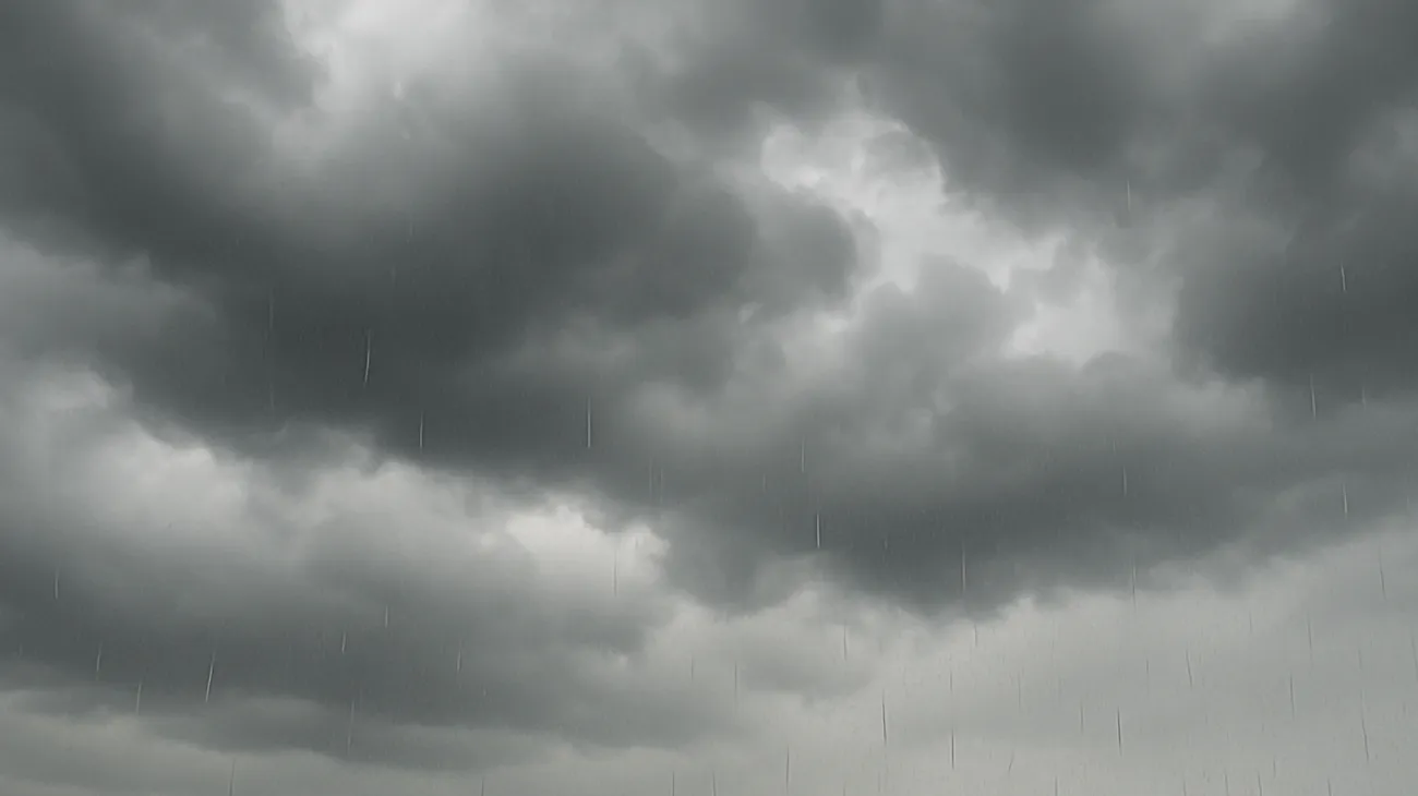 Weather"